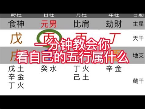 生辰八字五行查詢